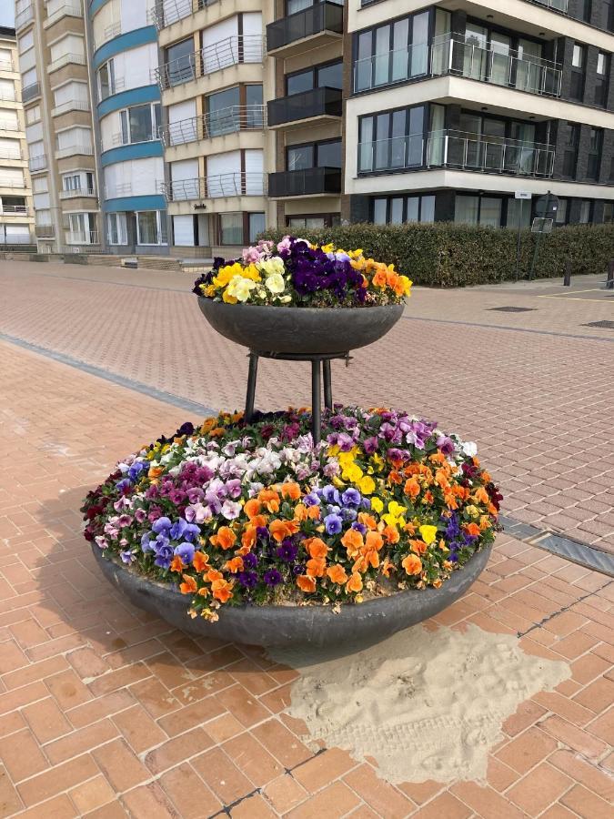 Villa Michry Koksijde 4 Adultes 2 Enfants Proche Digue Et Centre Exteriér fotografie
